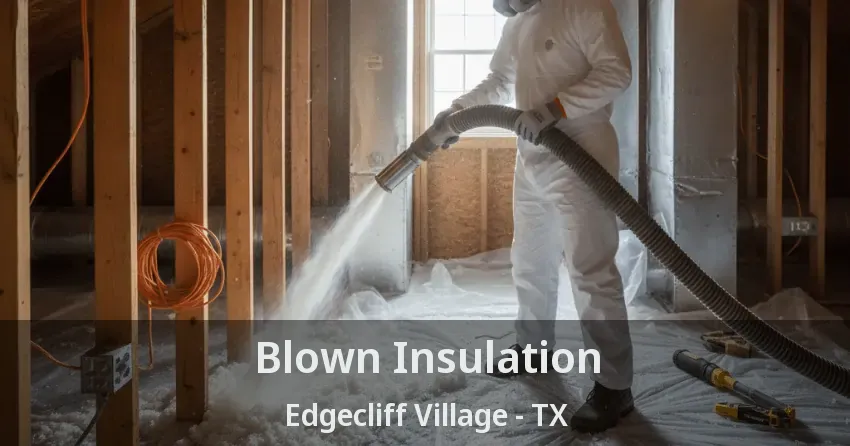 Blown Insulation Edgecliff Village - TX