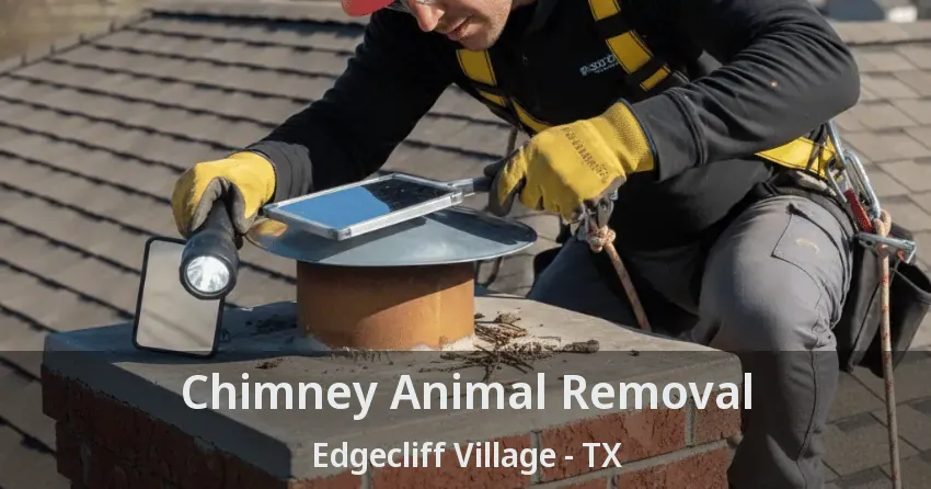 Chimney Animal Removal Edgecliff Village - TX