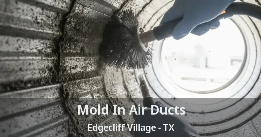 Mold In Air Ducts Edgecliff Village - TX