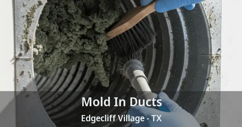 Mold In Ducts Edgecliff Village - TX