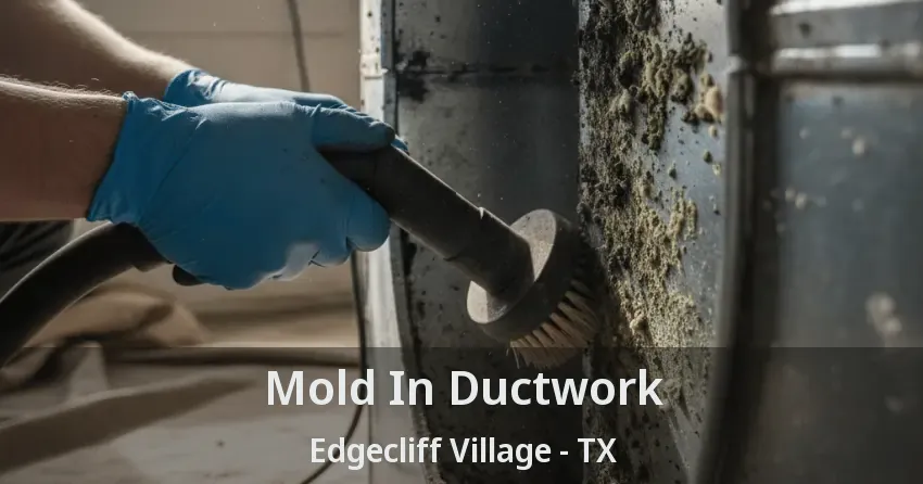 Mold In Ductwork Edgecliff Village - TX