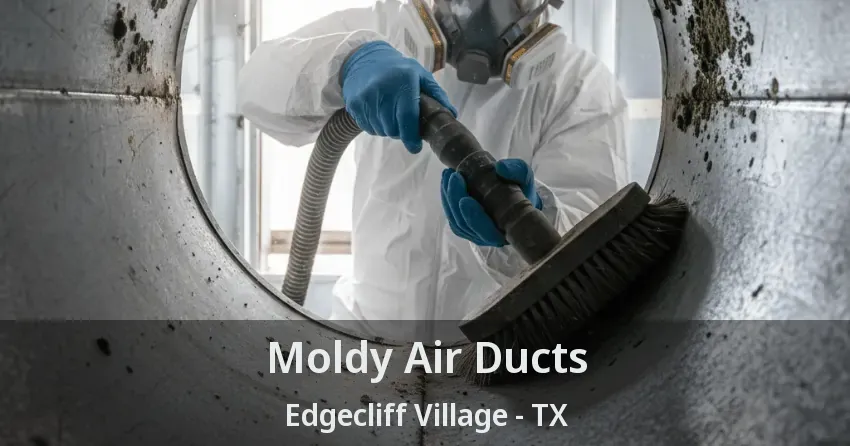 Moldy Air Ducts Edgecliff Village - TX